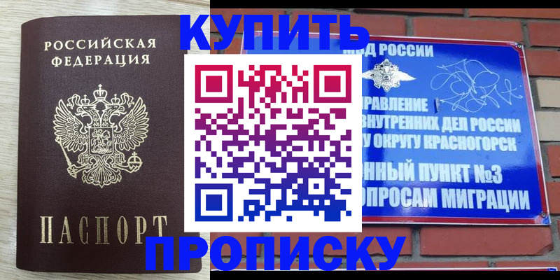 прописка гарантия в Тынде